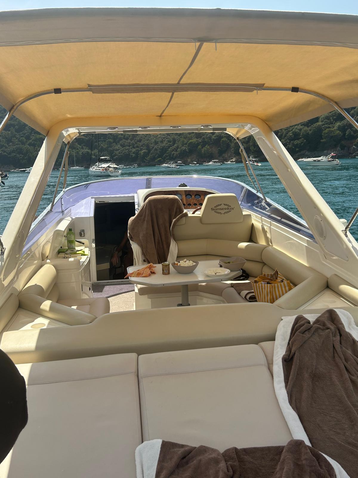 Sunseeker Thunderhawk 43 — pozzetto